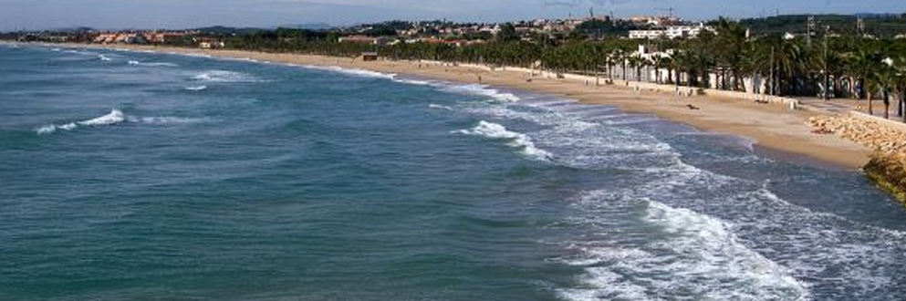 Microscopy at the Frontiers of Science 2013Tarragona, Spain, 17-20th september 2013