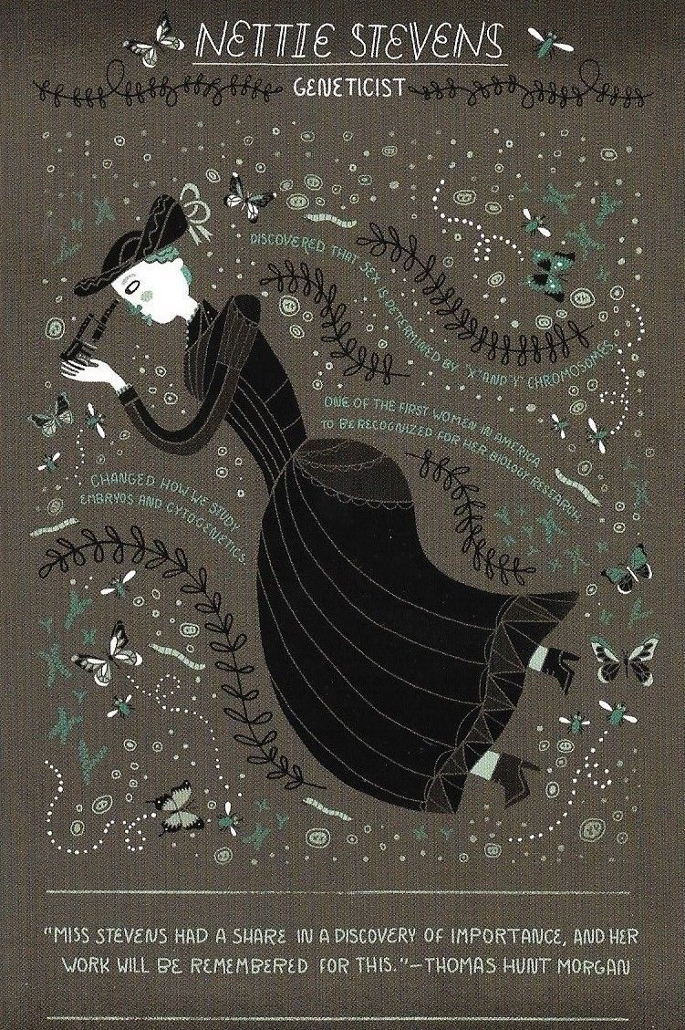 Rachel Ignotofsky